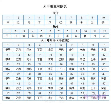 1977 天干地支|干支对照表